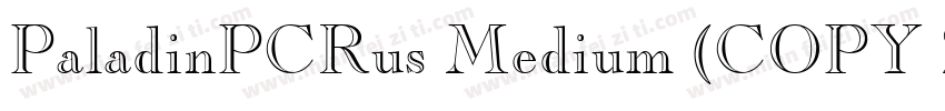 PaladinPCRus Medium (COPY 2)字体转换